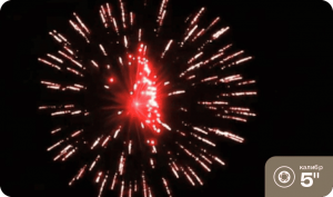 Высотный шар 5" Flower wave w/red pistil