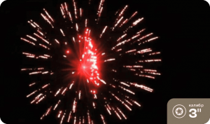 Высотный шар 3" Flower wave w/red pistil