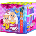 Салютная установка "Узнай кто"-36