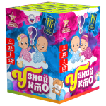 Салютная установка "Узнай кто"2